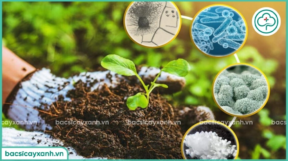 Thuốc trừ sâu sinh học có độc không